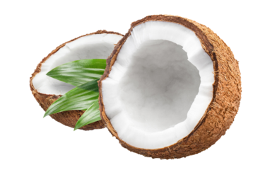 Two halves of delicious coconut with green leaves, cut out