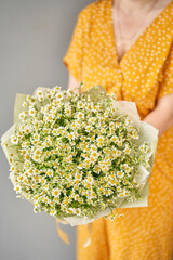 Beautiful bouquet of daisies flowers in woman hand. Floral shop concept . Beautiful fresh cut bouquet. Flowers delivery