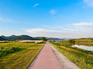 대구광역시 금호강 하중도(금호꽃섬) Daegu geumho- river (flower geumho-island)