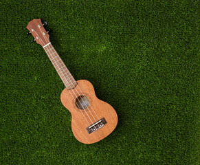 ukulele guitar on green grass. Travel concept