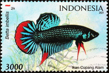 Colorful tropical fish on indonesian stamp