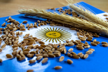 Wheat pods and grains with an argentina flag in the background. Wheat is one of the main products...