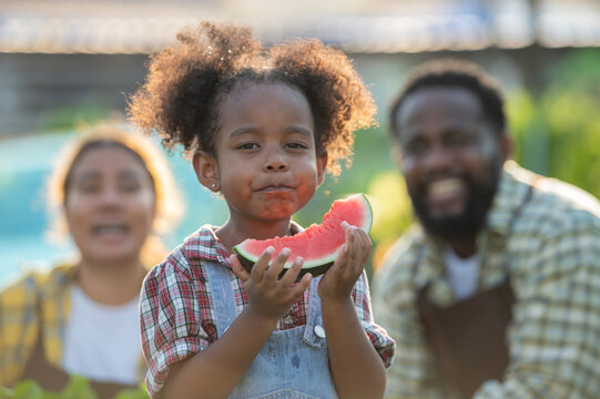 hungry african afro black daughter eat watermelon fruit with dad father teasing fun in garden greenhouse. Black african daughter afro hair enjoy eat fruit with dad in vegetable greenhouse at sunset