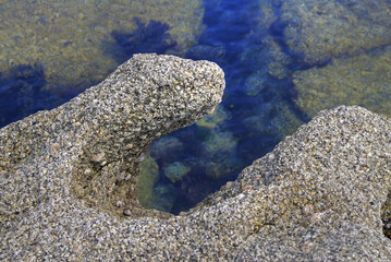 d&eacute;tail d'un rocher en bords de mer