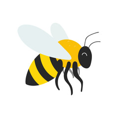 flat bee  isolated vector illustration