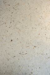 White mulberry paper texture use dry flower and leaf fiber mix for abstract texture background. Mulberry paper with texture background white tone.