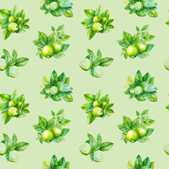 seamless pattern with green leaves and fresh limes. Organic, realistic drawn, watercolor style . illustration for cards, stationery, home decor, textiles. 