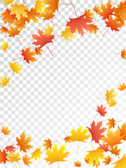 Maple leaves vector illustration, autumn foliage on transparent background.