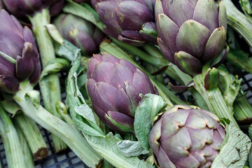 Fresh and ripe artichokes for sale