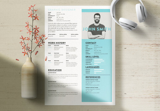 Professional Curriculum Vitae Layout