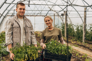 Male and female gardeners holding a crates with seedlings in it.