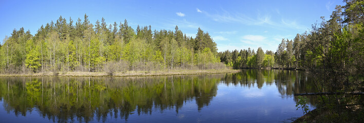 Panorama of the forest river in spring.