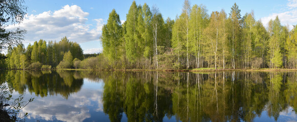 Panorama of the forest river in spring.