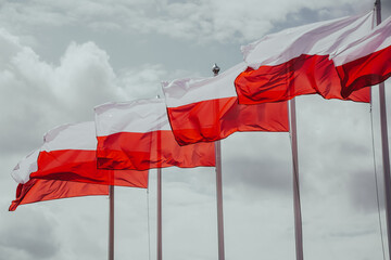 Flaga Polski - obrazy, fototapety, plakaty