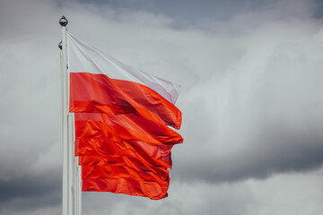 Fototapeta Flaga Polski obraz