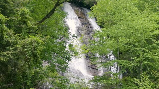 Georgia Anna Ruby Falls  A view of the upper part of the Anna Ruby Falls through the trees
