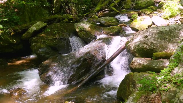 Georgia Anna Ruby Falls  A view of water flowing over a big rock in the York-Smith Creek