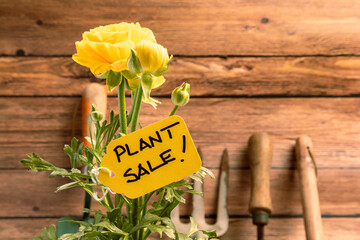 Plant Sale Tag