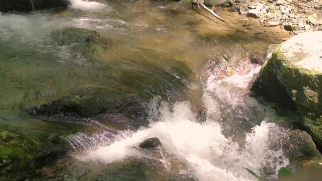 Georgia Anna Ruby Falls A close up of water flowing over several rocks on the York-Smith Creek