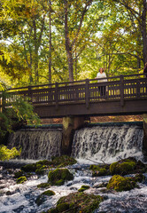 Fototapeta na wymiar View of wooden bridge with mature woman standing on it and waterfall running underneath in Midwestern park in autumn; trees with fall leaves in background; rocks in foreground