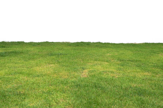 Grass Floor 286 147 Adobe Stock