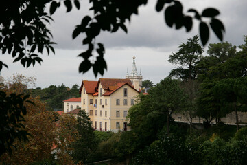 Fototapeta premium Facade of historical buildings, European cityscape, cozy Portuguese streets landscape, view of city, Sintra, Portugal