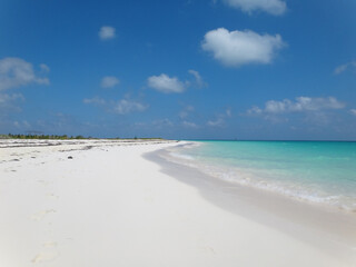 White sand beach with clear blue water