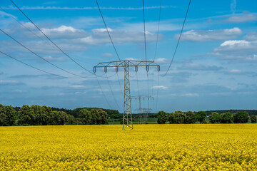 Overhead power lines across a rapeseed field under a brilliant blue sky