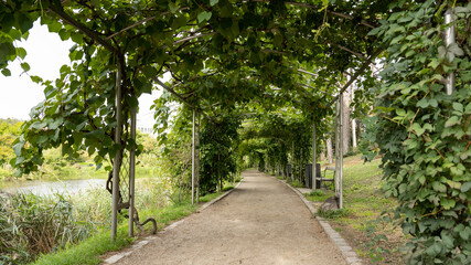 Fototapeta na wymiar Kopenhagen Botanischer Garten 2022