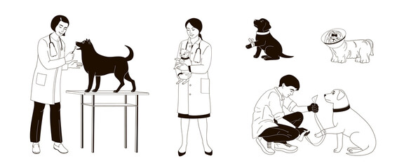 women and man veterinarian examines a dog. Veterinary clinic, medical service or pet medical center, linear black and white illustration