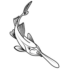 Beautiful hand drawn illustration with paddlefish. Vector.