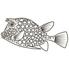Beautiful hand drawn illustration with fish. Vector.