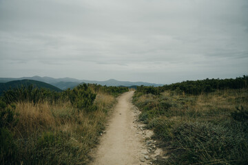 empty pilgrim trail in galicia, spain
