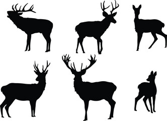 Set of Deer Silhouettes. Vector © nele82