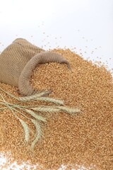 On a white background, scattered wheat, from a bag, wheat, grain, grain crop, kutya evening, day, holiday, ears of corn, background, wallpaper