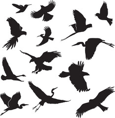 Set of Flying Birds Silhouettes. Vector Image