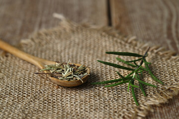 Dry organic background or texture of rosemary leaves. Healthy food concept . a wooden spoon with rosemary, a kind of green color and very fine sticks. leaning on a brown table.