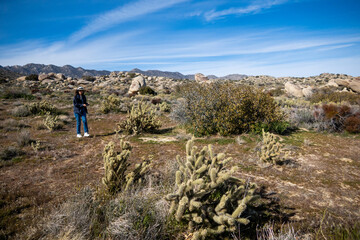 Fototapeta premium A Desert Scene on a Wilderness Trail with a mature woman hiker enjoying the Hike