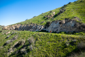 Spring in Yucaipa, California, after a wet winter with the green Crafton Hills looking at the Beautiful Grass and Flowers