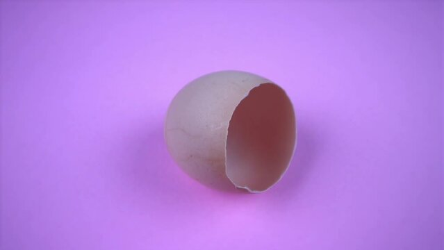 empty broken brown egg shell on purple color background