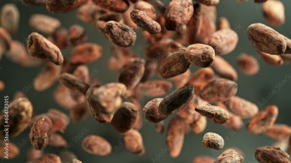 Aufkleber Super slow motion of rotating cocoa beans and powder. Filmed on high speed cinema camera, 1000 fps placed on high speed cine bot. Camera moving up with rotation. Speed ramp effect.