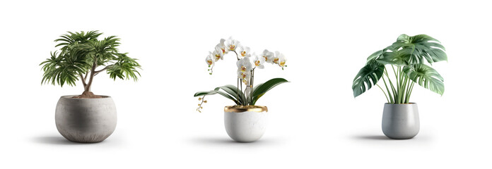 collection Set of different styles of retro vantage and modern vase and interior plants pots furniture cutouts isolated on transparent background - Generative AI