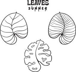 leaves art the summer fun
