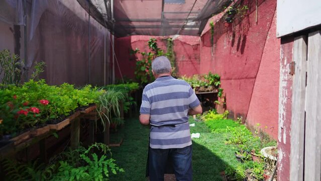 Back of senior gardner walking in rural backyard with pots of plants and flowers