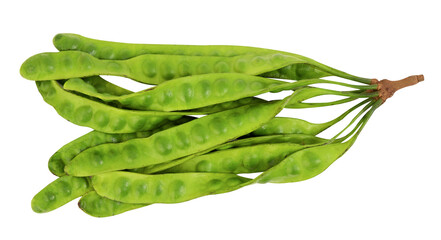 Bitter bean or Parkia speciosa fruits on transparent background.