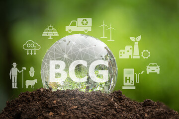 BCG economic model or economic model for sustainable development It is a new theoretical economy...