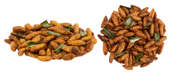 Fried chrysalis on transparent background.