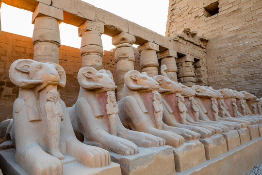 The Avenue of Ram Headed Sphinxes, Karnak Temple, Luxor, Thebes, UNESCO World Heritage Site, Egypt