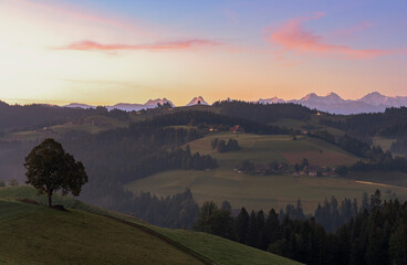 Green rolling hills and forest in the autumn mist at dawn, Sumiswald, Emmental, canton of Bern, Switzerland