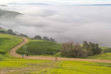 Fototapeta na wymiar landscape with field and clouds